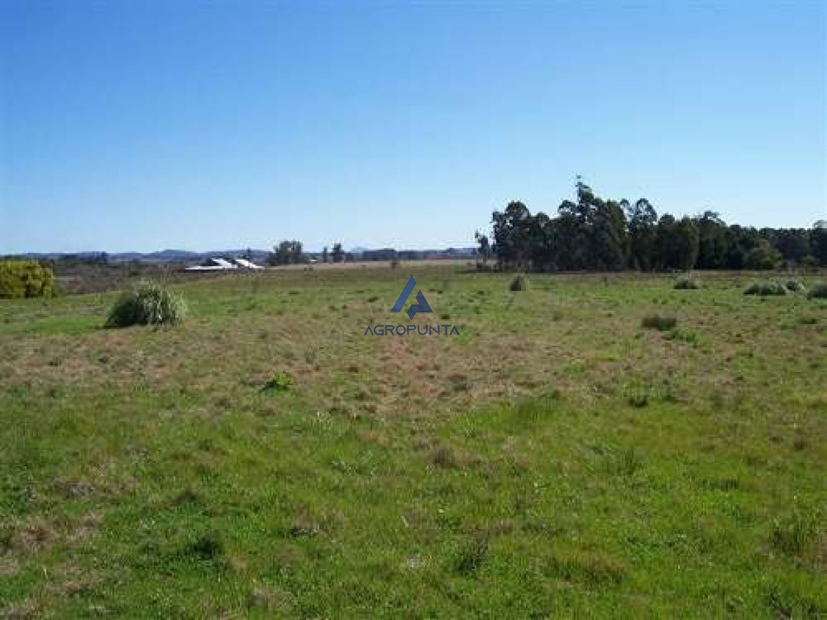 San Carlos - GoPunta - Portal Inmobiliario de Punta del Este - Maldonado