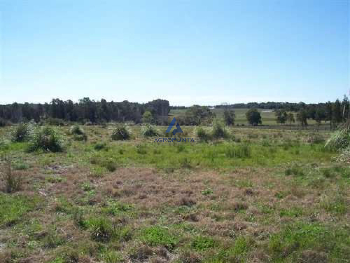 San Carlos - GoPunta - Portal Inmobiliario de Punta del Este - Maldonado