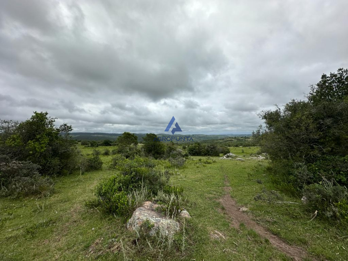 Maldonado - GoPunta - Portal Inmobiliario de Punta del Este - Maldonado