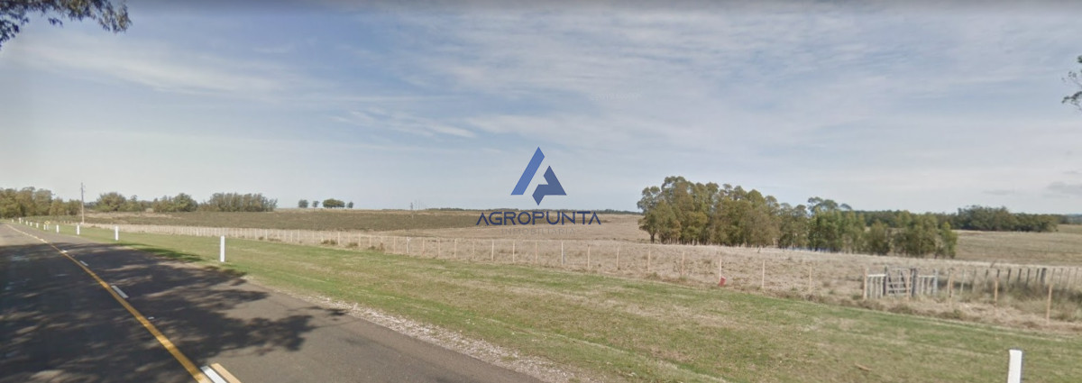 Chacra en Venta 21has en Ruta 104 - AGP9448H