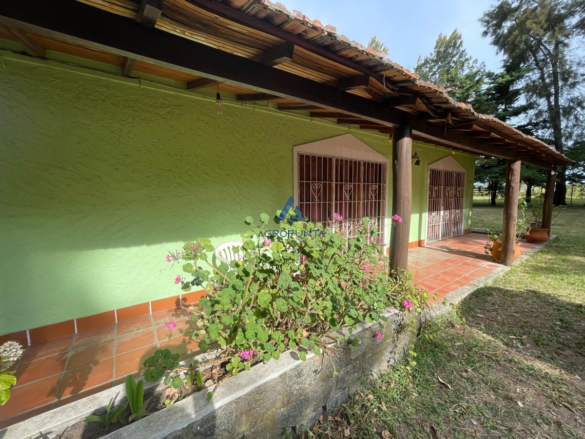 San Carlos - GoPunta - Portal Inmobiliario de Punta del Este - Maldonado