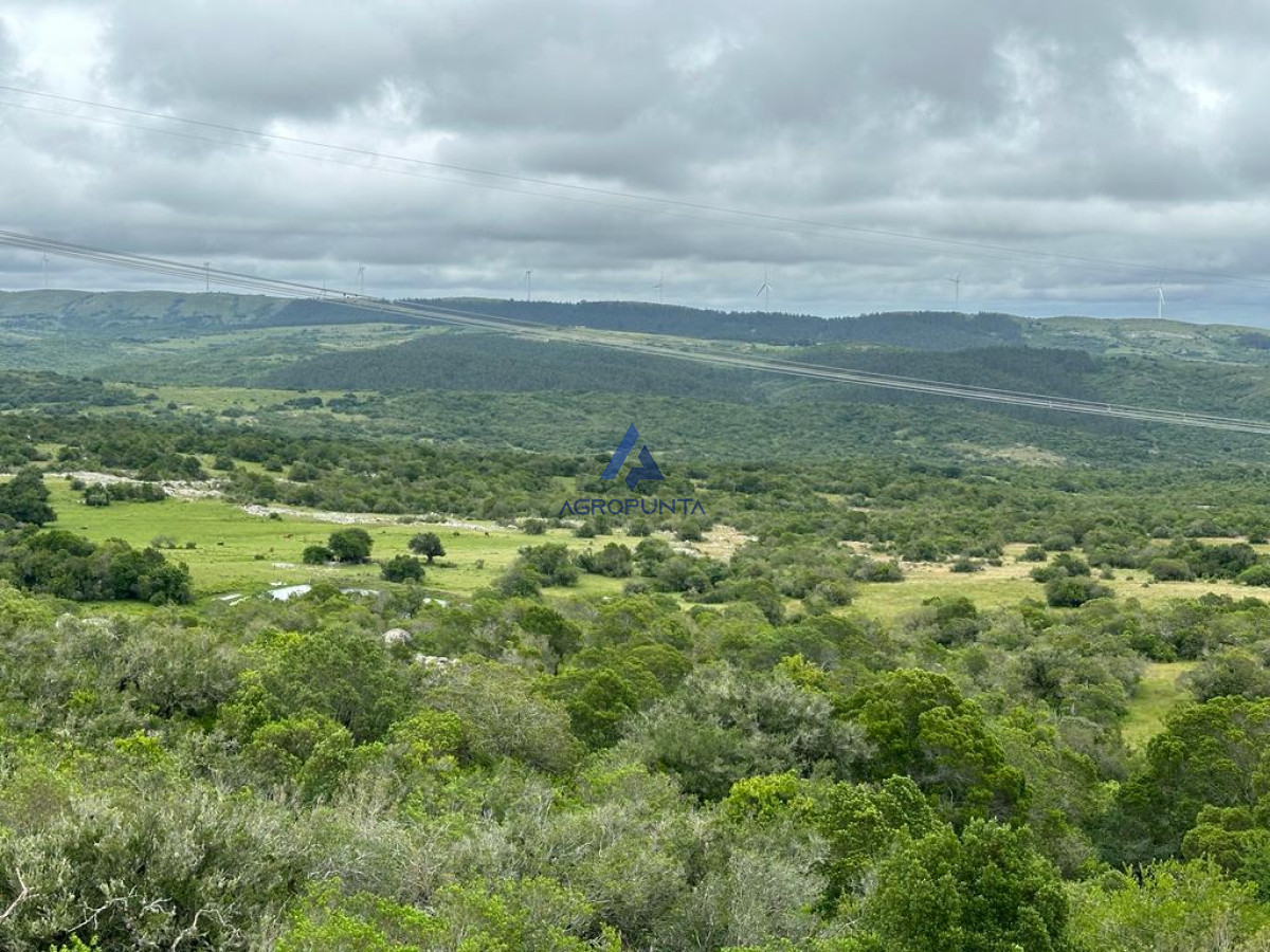 Chacra Ruta 39 - AGP7865H