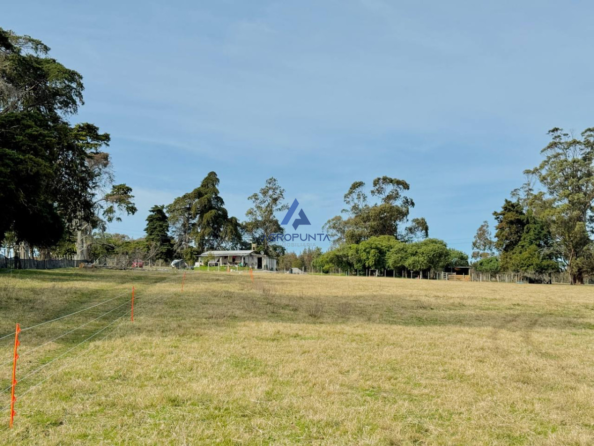 Ruta 9 - GoPunta - Portal Inmobiliario de Punta del Este - Maldonado