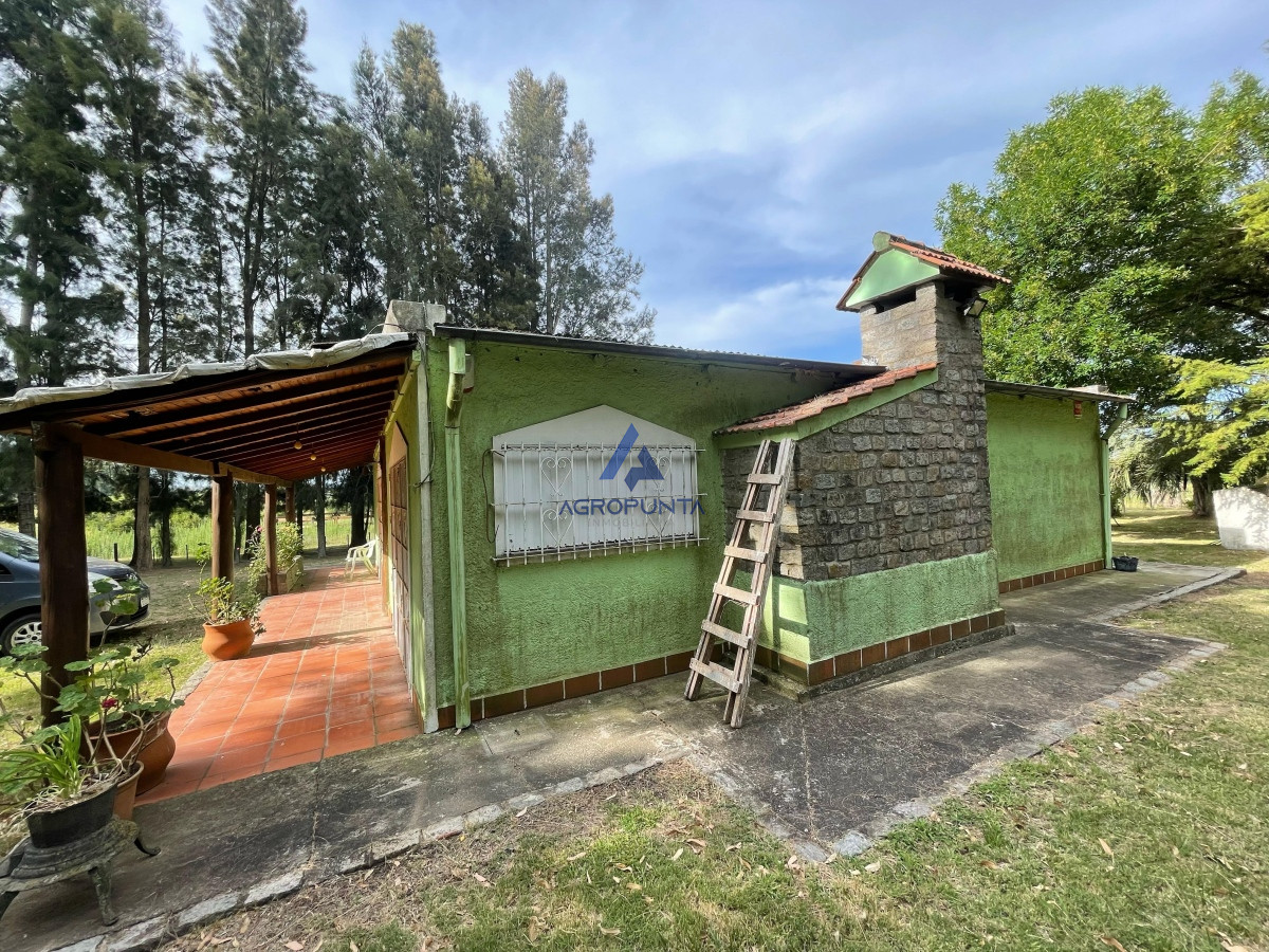San Carlos - GoPunta - Portal Inmobiliario de Punta del Este - Maldonado