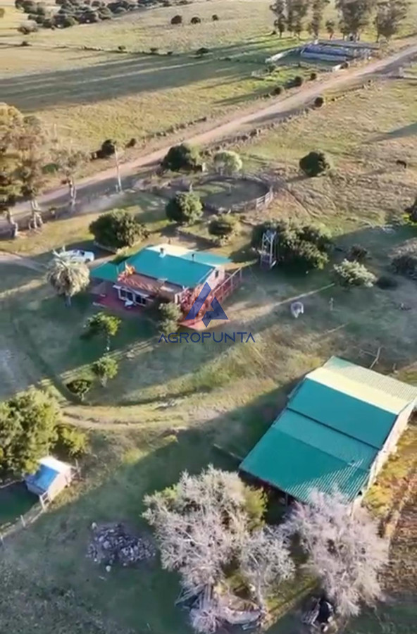 Pueblo Eden - GoPunta - Portal Inmobiliario de Punta del Este - Maldonado