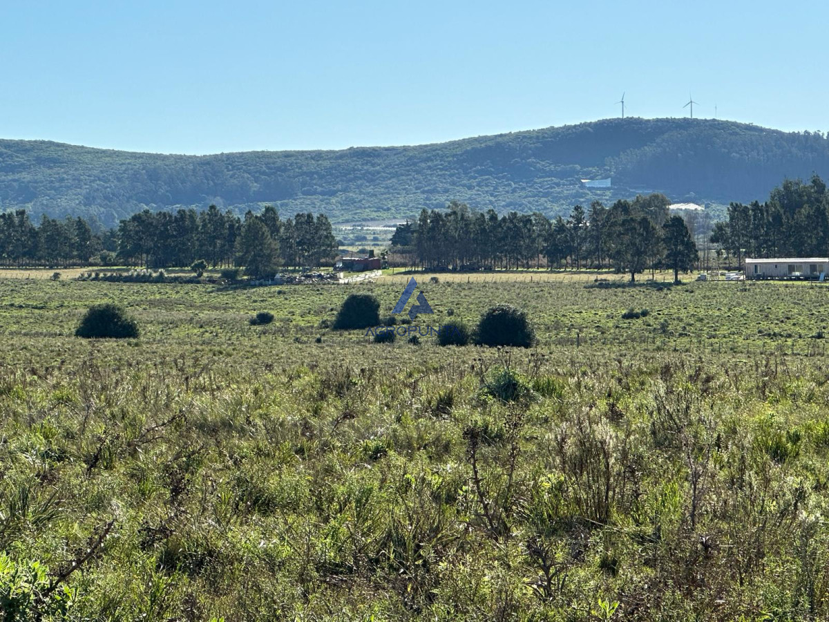 Pueblo Eden - GoPunta - Portal Inmobiliario de Punta del Este - Maldonado