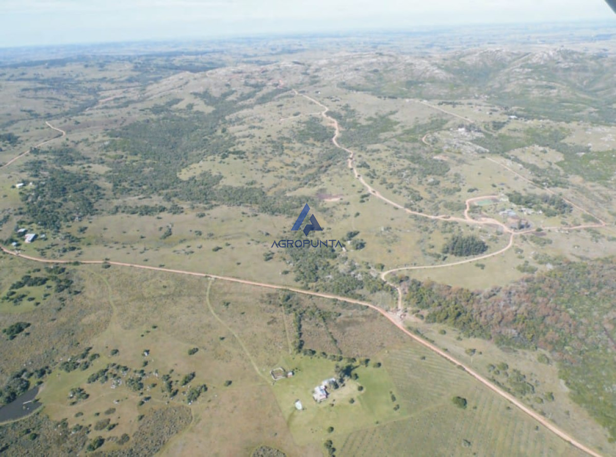 Las Cañas - GoPunta - Portal Inmobiliario de Punta del Este - Maldonado