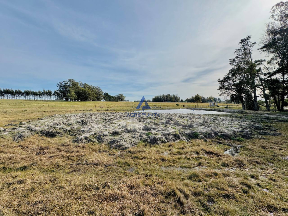 Ruta 9 - GoPunta - Portal Inmobiliario de Punta del Este - Maldonado