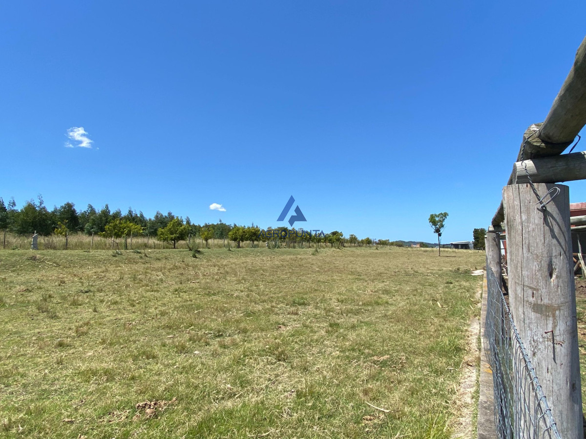 San Carlos - GoPunta - Portal Inmobiliario de Punta del Este - Maldonado