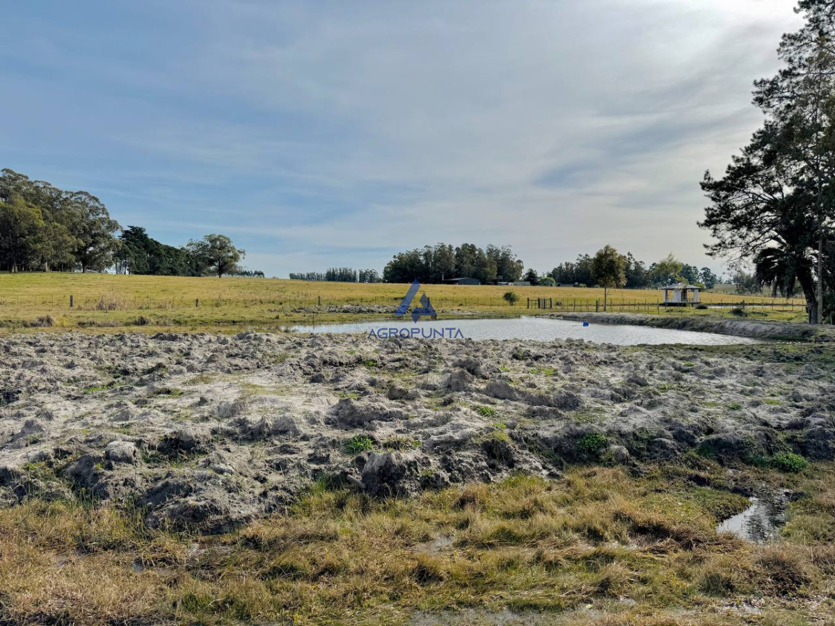 Ruta 9 - GoPunta - Portal Inmobiliario de Punta del Este - Maldonado