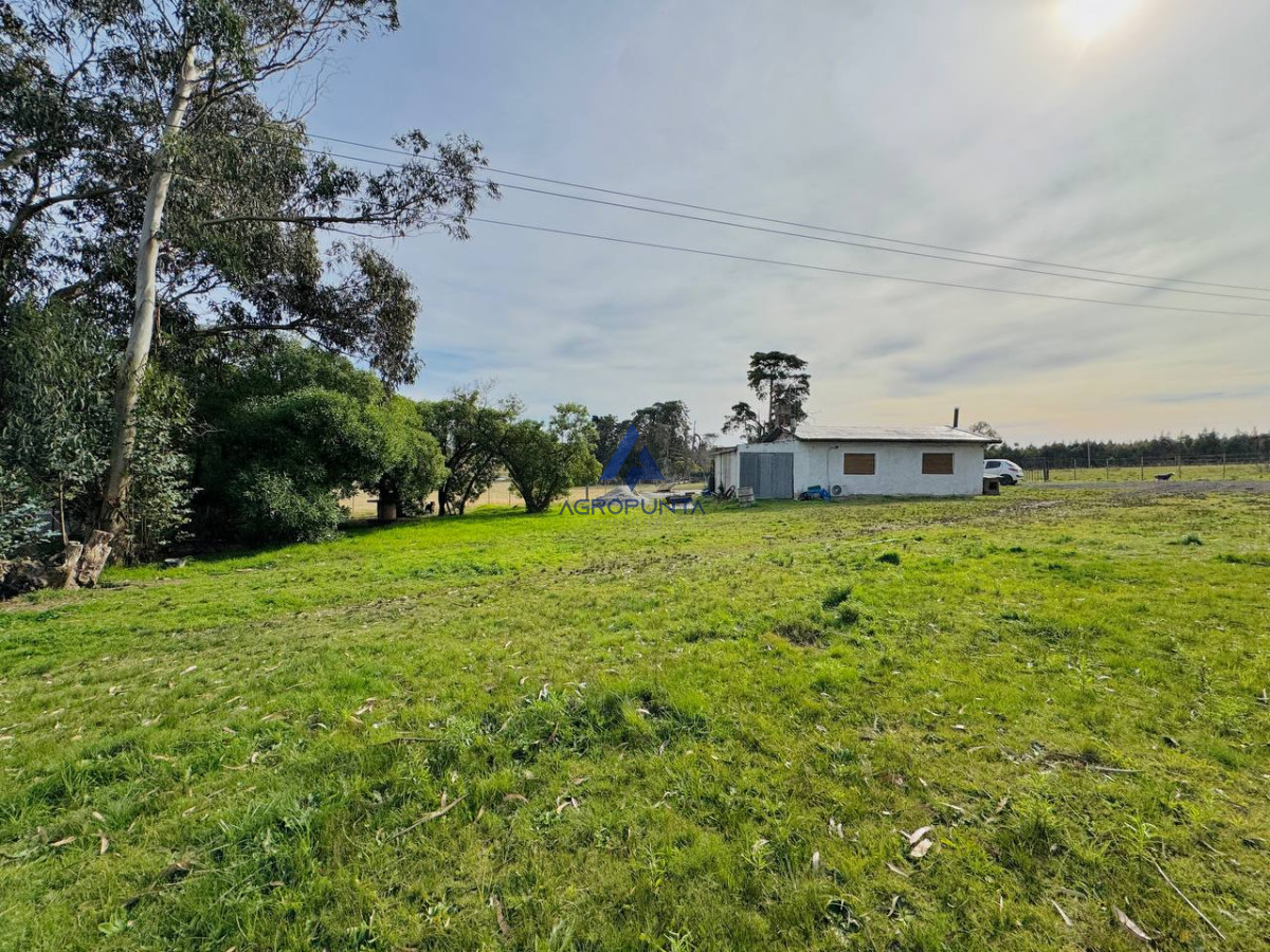 Ruta 9 - GoPunta - Portal Inmobiliario de Punta del Este - Maldonado