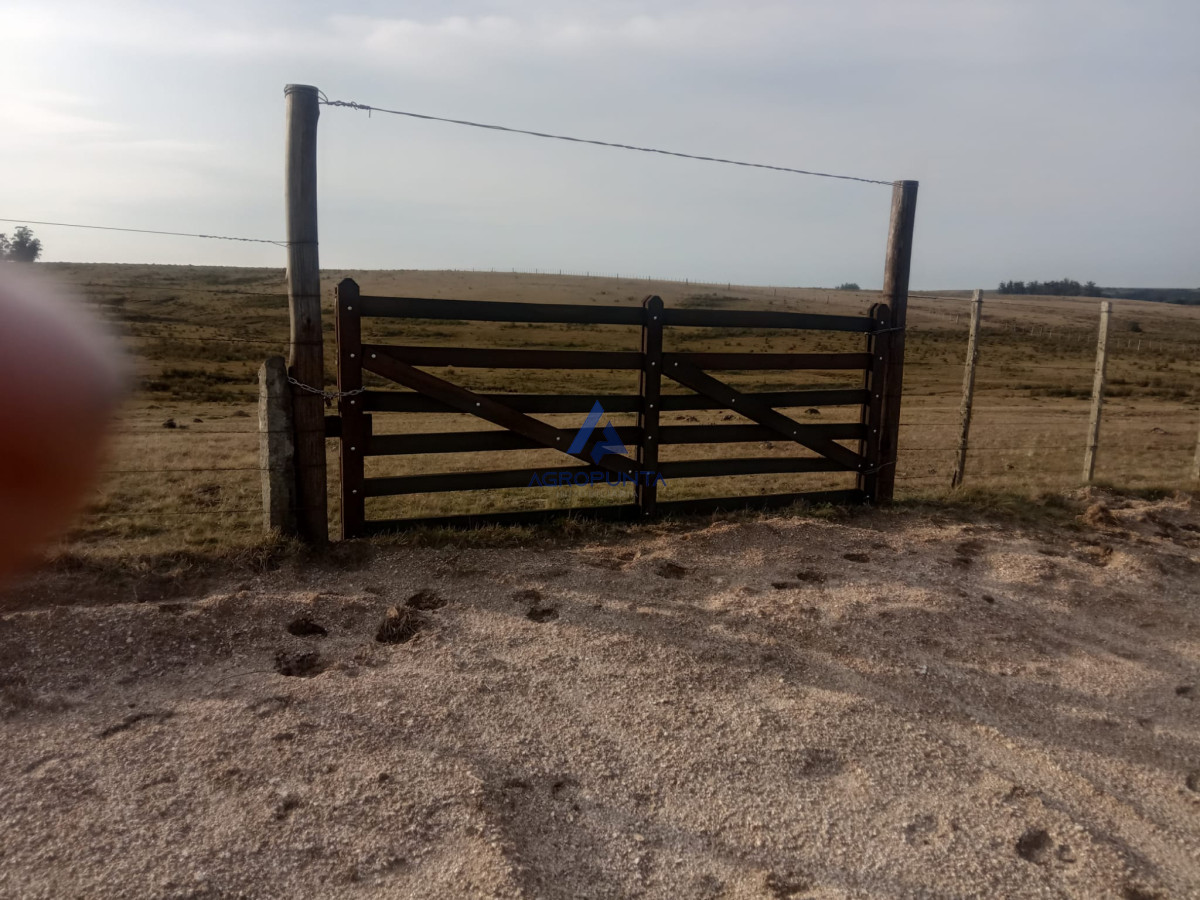 Venta de Chacra - AGP8649H