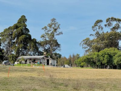 Chacra en Venta Ruta 9 5 hectáreas