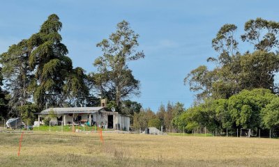 Chacra en Venta Ruta 9 5 hectáreas