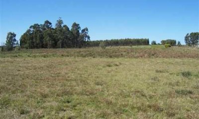 chacra en venta Camino Urquiza