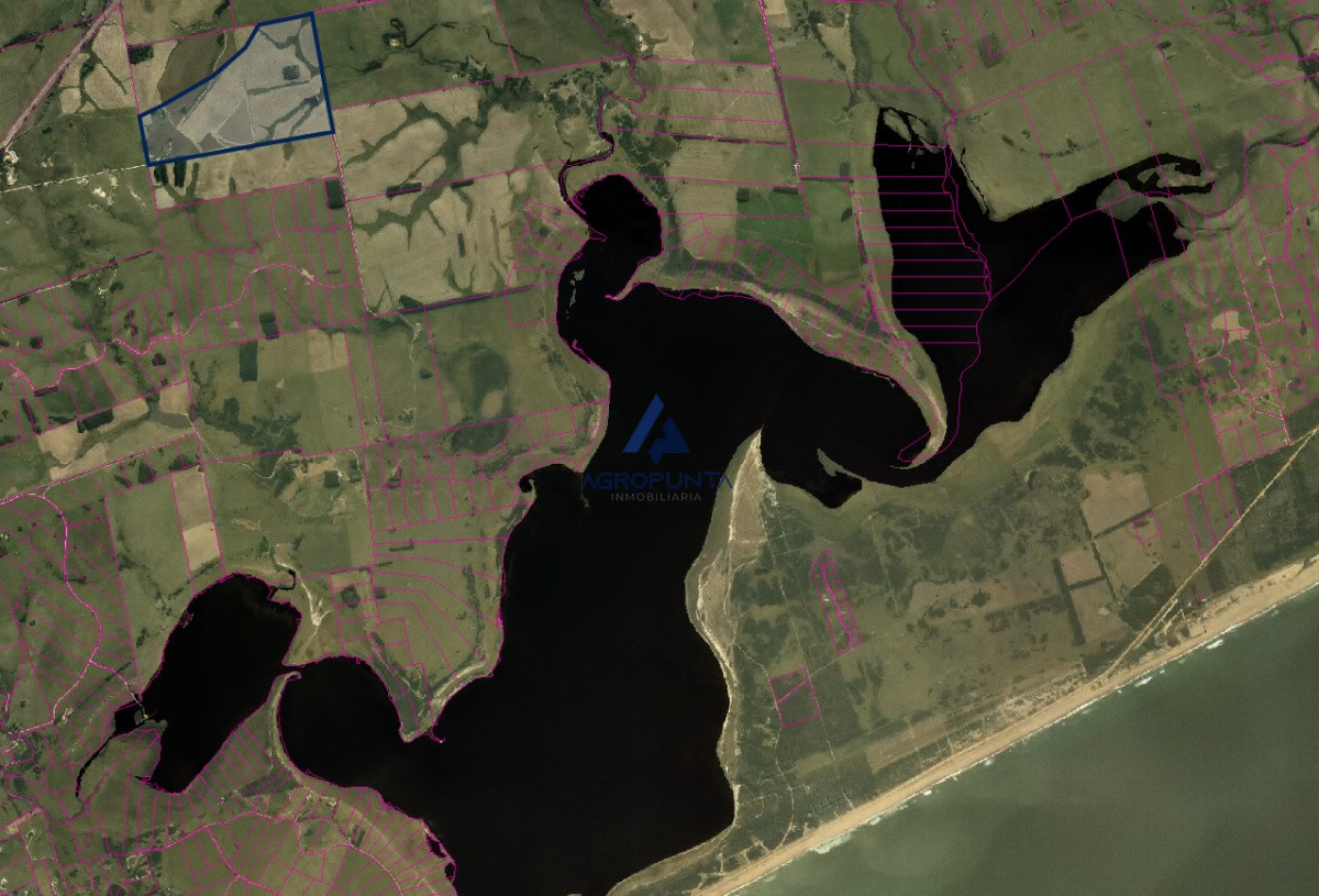 Campo agricola ganadero - GoPunta - Portal Inmobiliario de Punta del Este - Maldonado