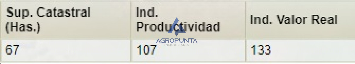 67 Hás PUEBLO EDÉN ALTO ÍNDICE CONEAT - GoPunta - Portal Inmobiliario de Punta del Este - Maldonado