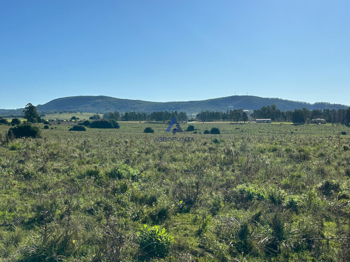 67 Hás PUEBLO EDÉN ALTO ÍNDICE CONEAT - GoPunta - Portal Inmobiliario de Punta del Este - Maldonado