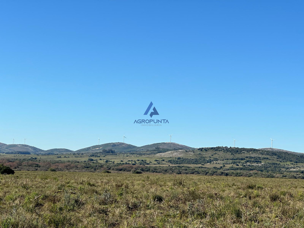 67 Hás PUEBLO EDÉN ALTO ÍNDICE CONEAT - GoPunta - Portal Inmobiliario de Punta del Este - Maldonado