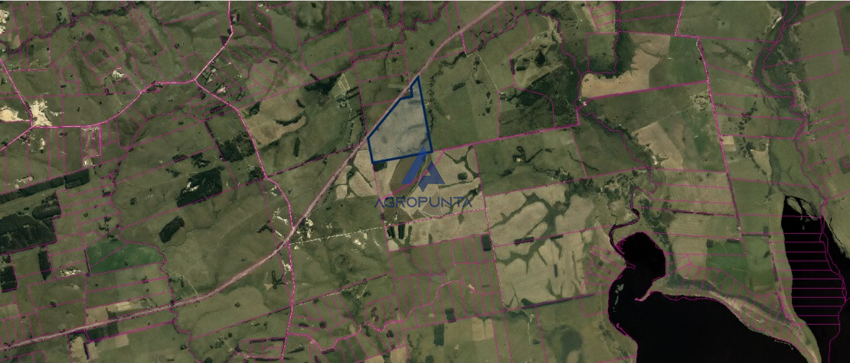 Campo turístico - GoPunta - Portal Inmobiliario de Punta del Este - Maldonado