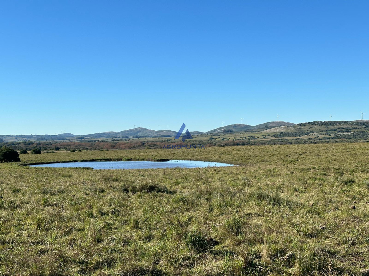 67 Hás PUEBLO EDÉN ALTO ÍNDICE CONEAT - GoPunta - Portal Inmobiliario de Punta del Este - Maldonado