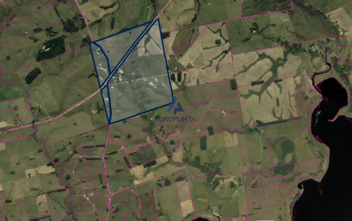 Ruta 9 a pocos kilometros de jose ignacio - GoPunta - Portal Inmobiliario de Punta del Este - Maldonado