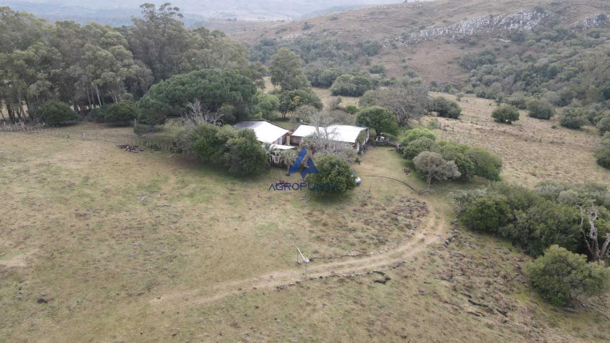 Venta Campo  92 Hectáreas Minas Lavalleja - GoPunta - Portal Inmobiliario de Punta del Este - Maldonado