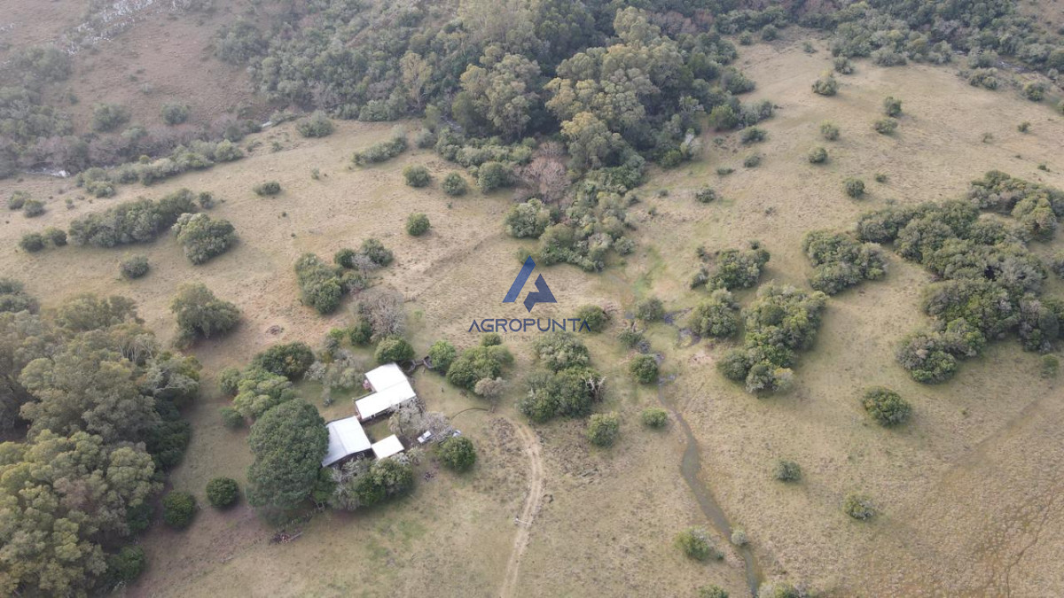 Venta Campo  92 Hectáreas Minas Lavalleja - GoPunta - Portal Inmobiliario de Punta del Este - Maldonado