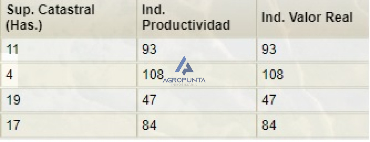 Venta 36has CAMPO RUTA 12 Maldonado próximo a Pueblo Edén - GoPunta - Portal Inmobiliario de Punta del Este - Maldonado