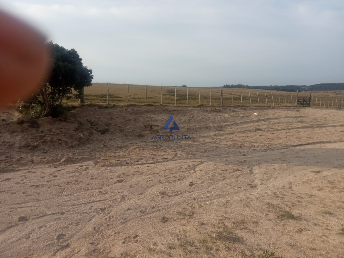 Campo en venta! - GoPunta - Portal Inmobiliario de Punta del Este - Maldonado