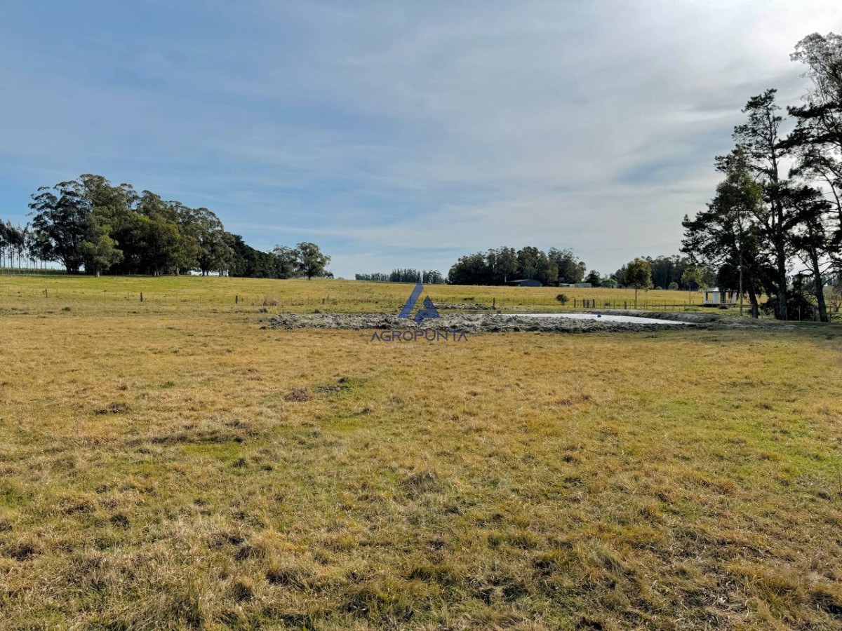 Campo en Venta 5has Sobre ruta 9 - GoPunta - Portal Inmobiliario de Punta del Este - Maldonado