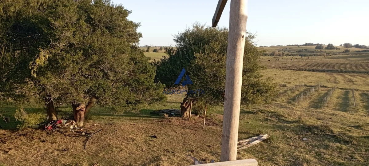 Chacra en Venta en Garzón - AGP8933P