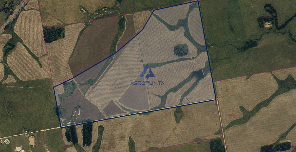 Campo agricola-ganadero - AGP5499P