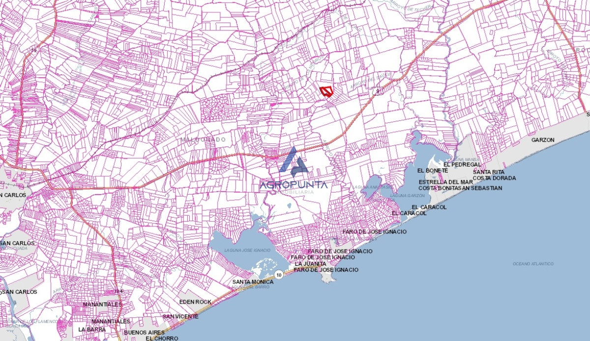 Campo a minutos de José Ignacio - GoPunta - Portal Inmobiliario de Punta del Este - Maldonado