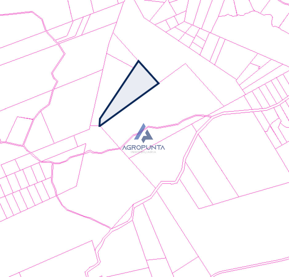 Campo de 39has en Garzón - GoPunta - Portal Inmobiliario de Punta del Este - Maldonado
