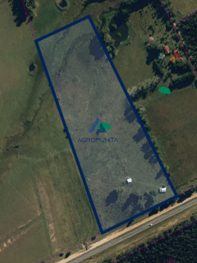 Campo en Venta 5has Sobre ruta 9 - GoPunta - Portal Inmobiliario de Punta del Este - Maldonado