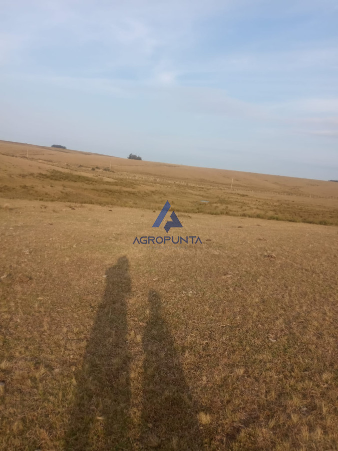 Campo en venta! - GoPunta - Portal Inmobiliario de Punta del Este - Maldonado