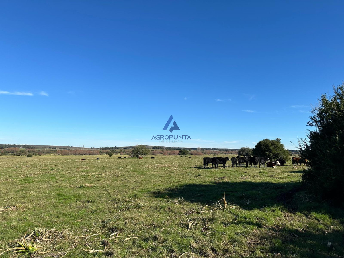 42 Hás Pueblo Edén, Buen índice CONEAT, Excelentes Vistas - AGP8518P
