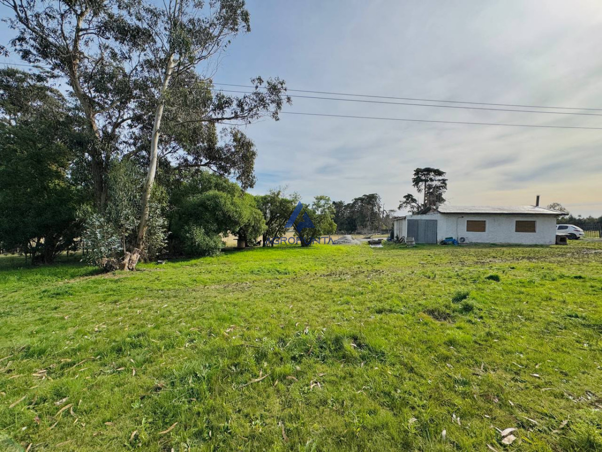 Campo en Venta 5has Sobre ruta 9 - GoPunta - Portal Inmobiliario de Punta del Este - Maldonado