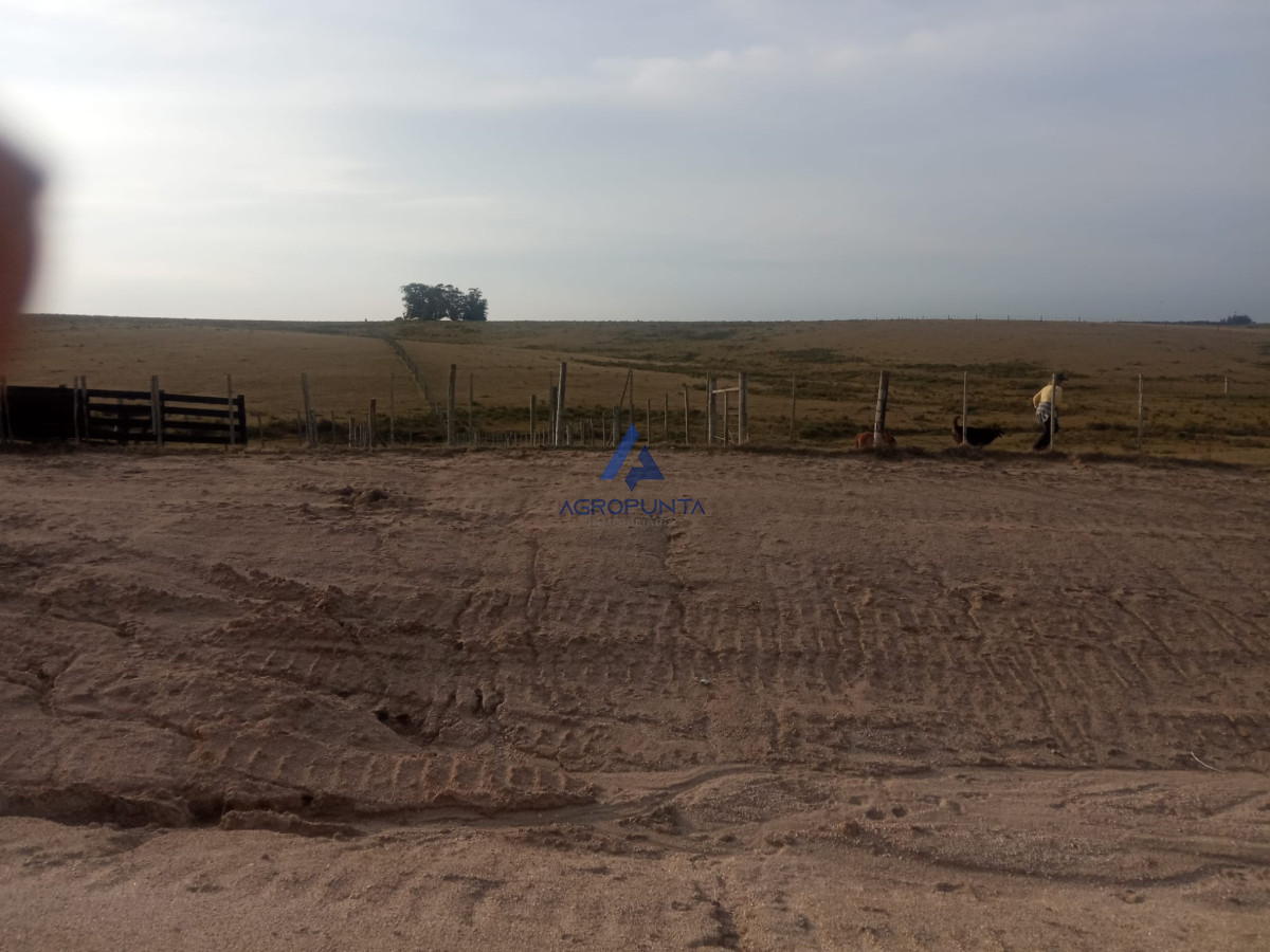 Campo en venta! - GoPunta - Portal Inmobiliario de Punta del Este - Maldonado