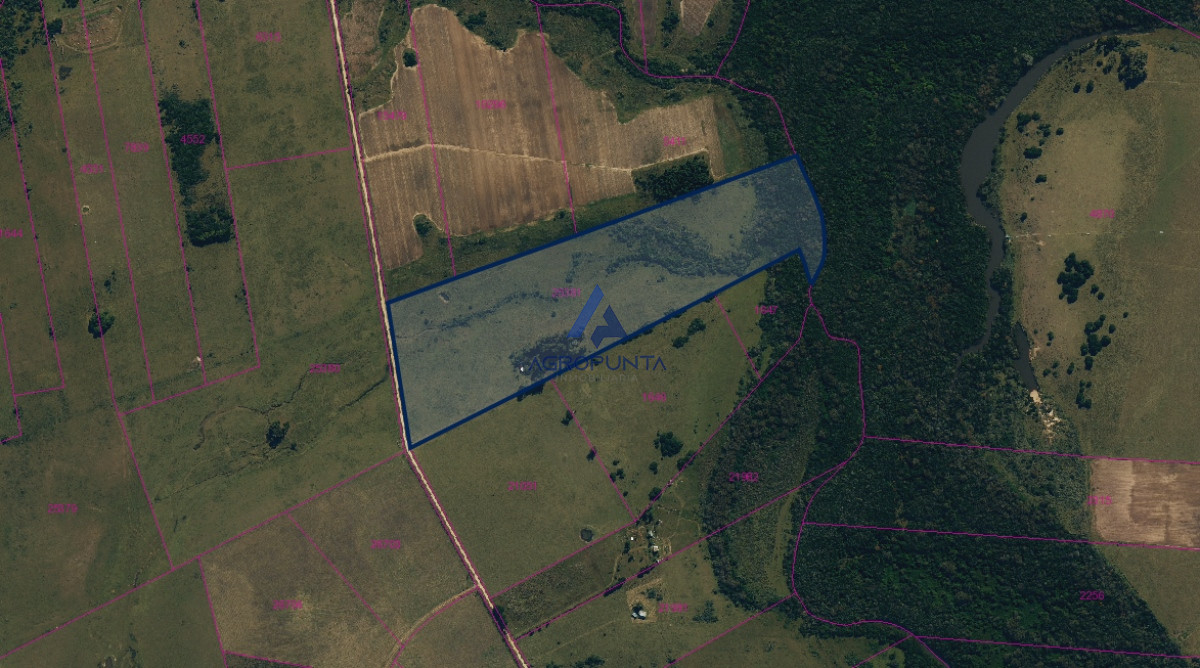 Campo 15 hectareas - GoPunta - Portal Inmobiliario de Punta del Este - Maldonado