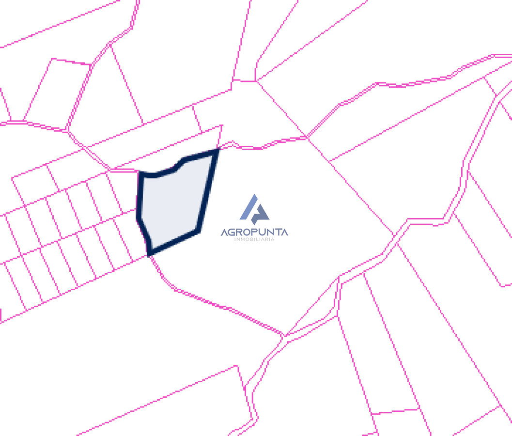 Campo en Venta Garzón 25has - GoPunta - Portal Inmobiliario de Punta del Este - Maldonado
