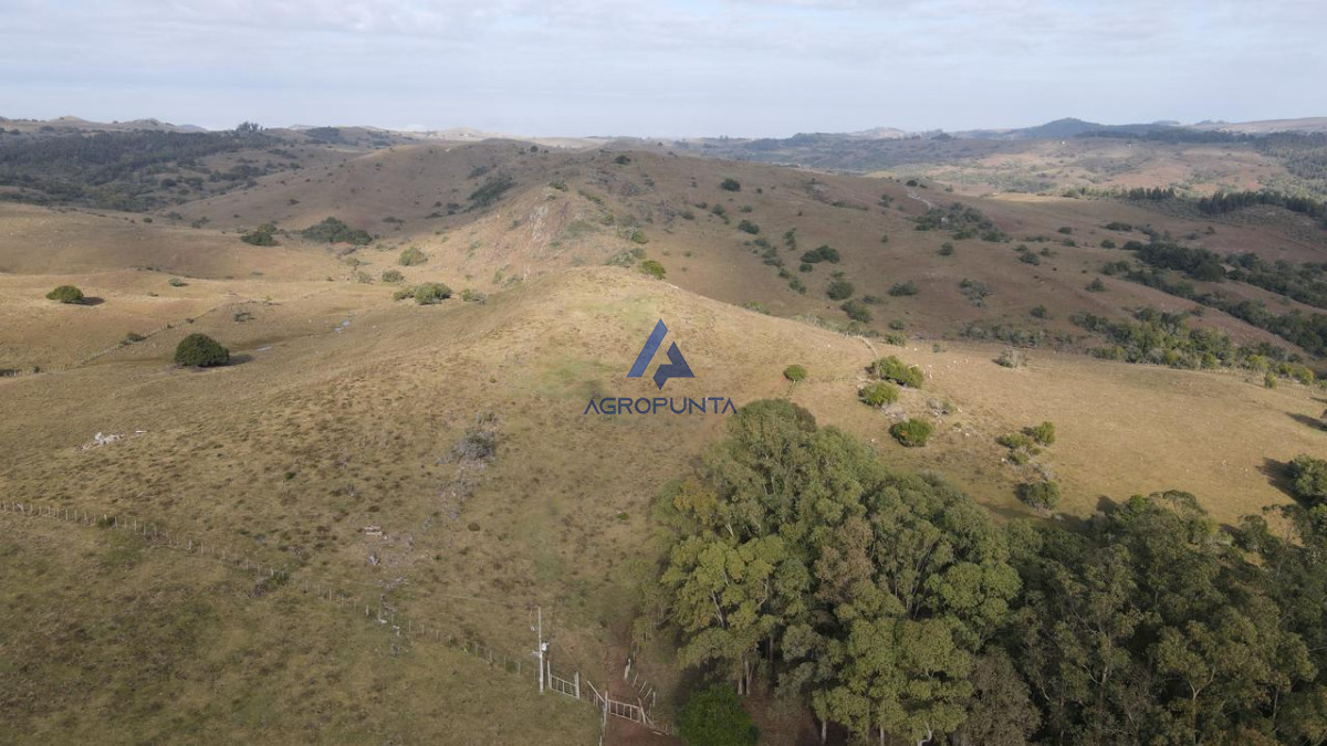 Venta Campo  92 Hectáreas Minas Lavalleja - GoPunta - Portal Inmobiliario de Punta del Este - Maldonado