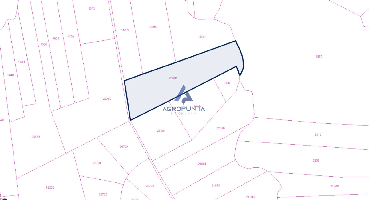 Campo 15 hectareas - GoPunta - Portal Inmobiliario de Punta del Este - Maldonado
