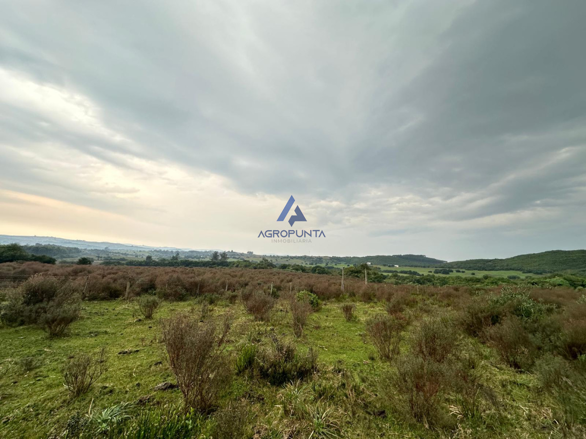 Venta 36has CAMPO RUTA 12 Maldonado próximo a Pueblo Edén - GoPunta - Portal Inmobiliario de Punta del Este - Maldonado