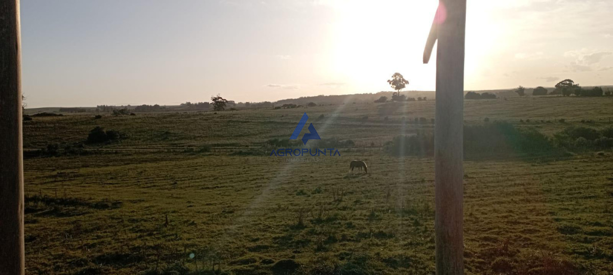 Chacra en Venta en Garzón - GoPunta - Portal Inmobiliario de Punta del Este - Maldonado