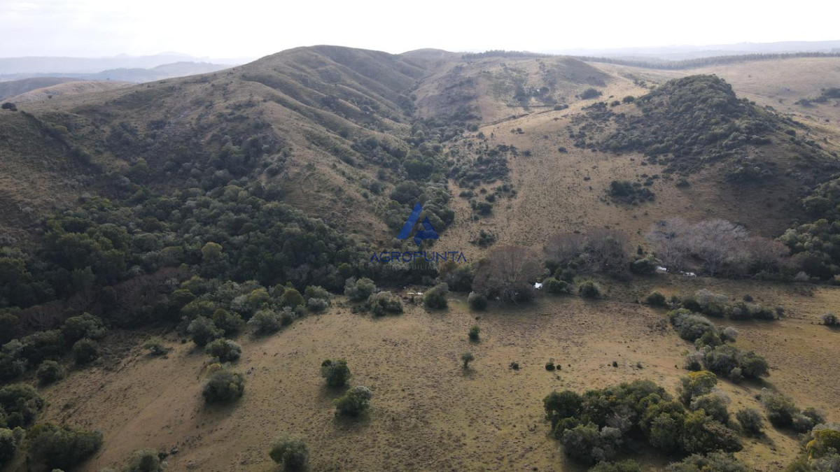 Venta Campo  92 Hectáreas Minas Lavalleja - GoPunta - Portal Inmobiliario de Punta del Este - Maldonado