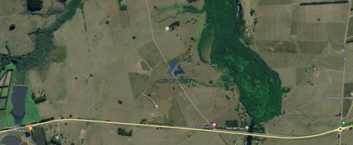 Campo 15 hectareas - GoPunta - Portal Inmobiliario de Punta del Este - Maldonado