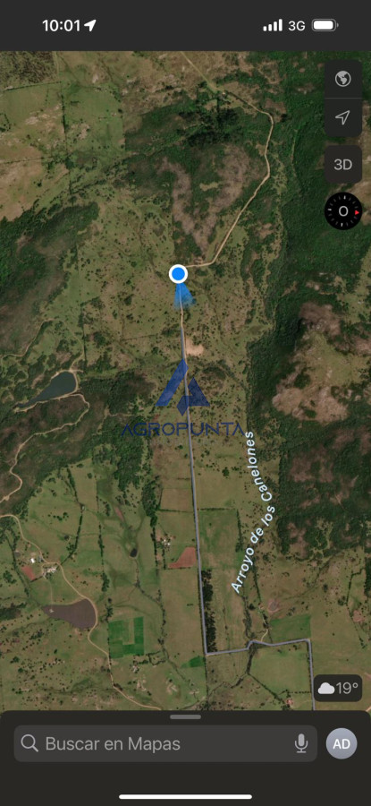 Venta 36has CAMPO RUTA 12 Maldonado próximo a Pueblo Edén - GoPunta - Portal Inmobiliario de Punta del Este - Maldonado