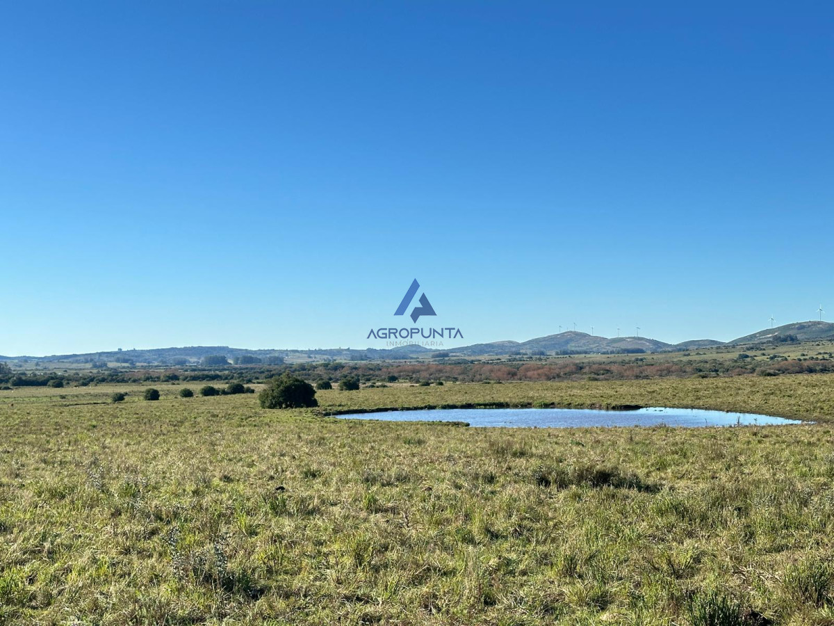 67 Hás PUEBLO EDÉN ALTO ÍNDICE CONEAT - AGP8517P